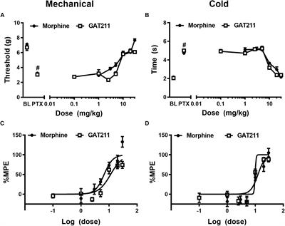 Positive Allosteric Modulation of CB1 Cannabinoid Receptor Signaling Enhances Morphine Antinociception and Attenuates Morphine Tolerance Without Enhancing Morphine- Induced Dependence or Reward